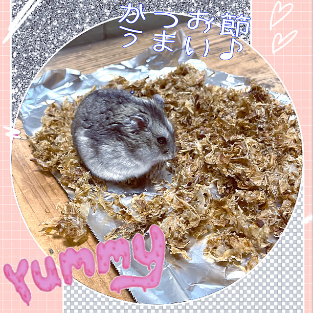 adamoさんの実例写真
