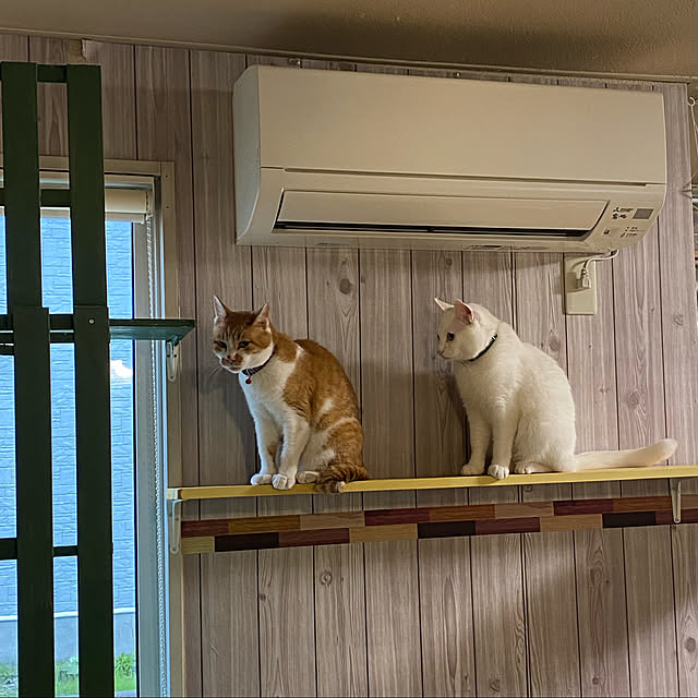SHIHOさんの実例写真