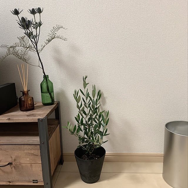 senriさんの実例写真