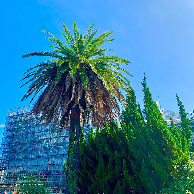 tututu0204さんの部屋