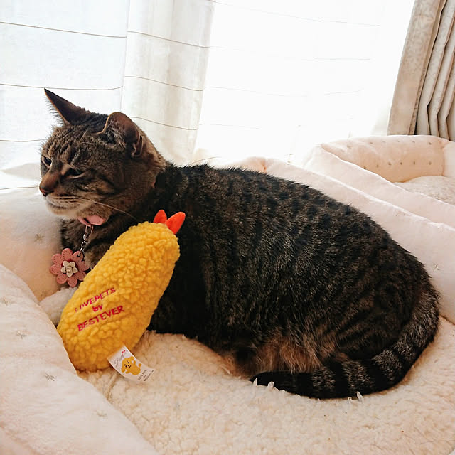 ruuさんの実例写真