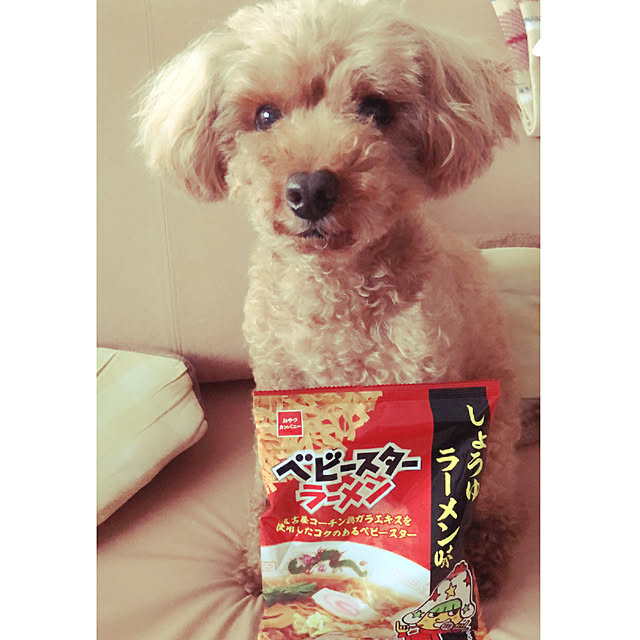 eriharuさんの実例写真