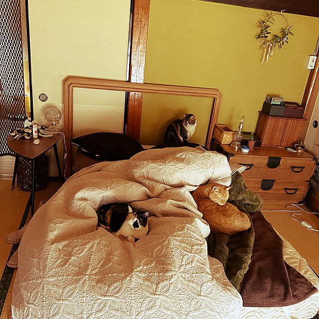 choroさんの実例写真