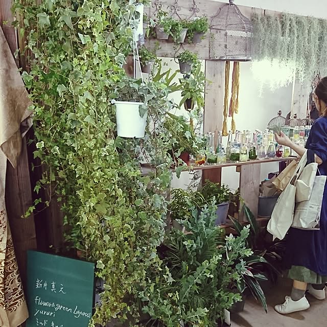 akiさんの実例写真