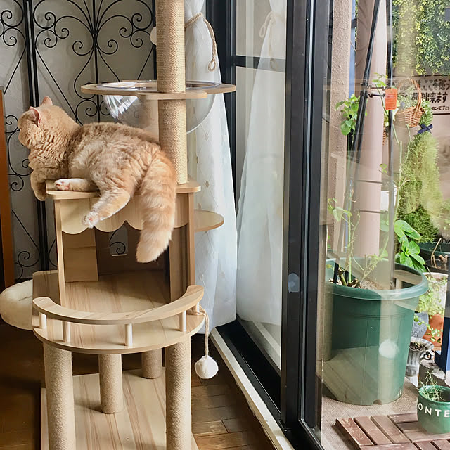 naokoさんの部屋