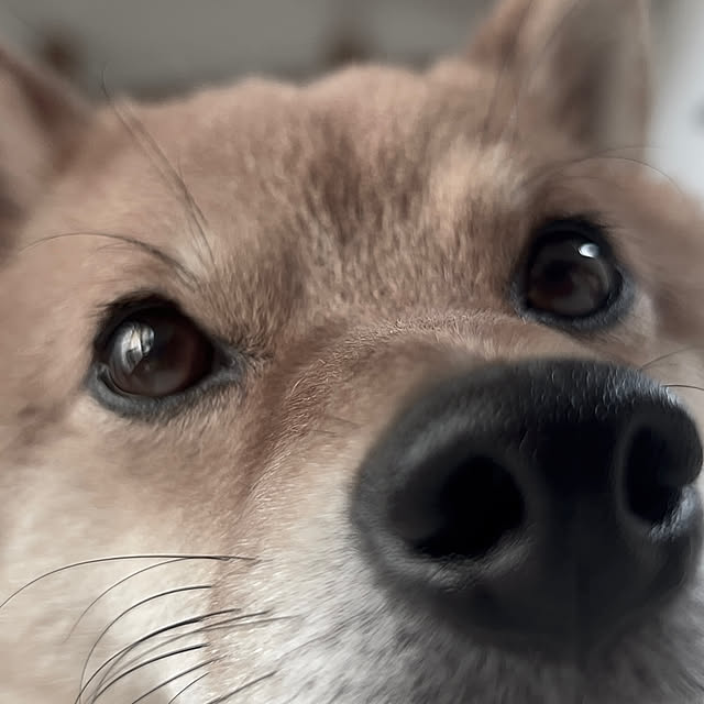 kenzさんの部屋