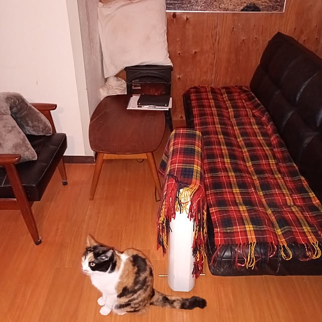 catloveさんの実例写真