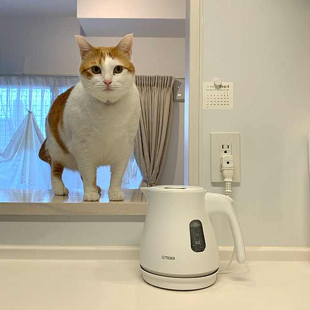 bikkeさんの実例写真