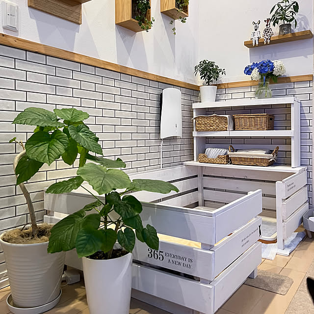 yumimaruさんの部屋