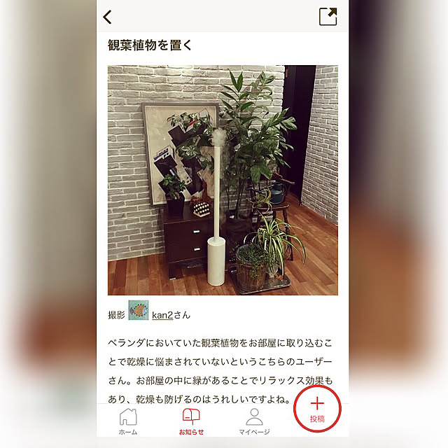 kan2さんの実例写真