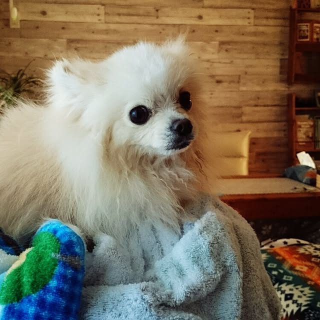 yukaさんの実例写真