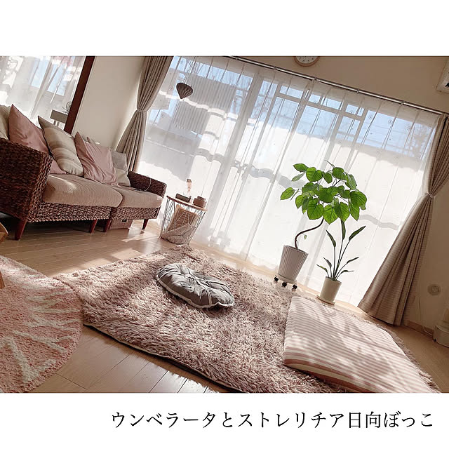 chaluさんの実例写真