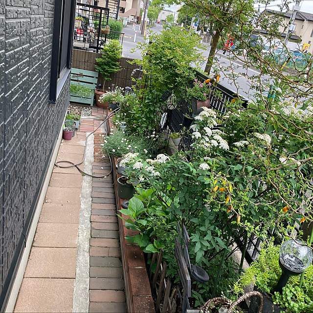 実例写真