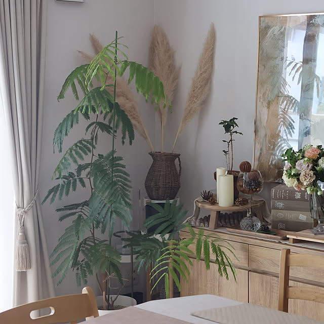 Summerさんの部屋