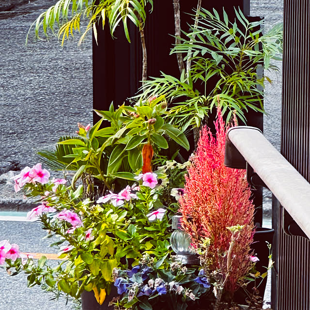 chacoさんの部屋