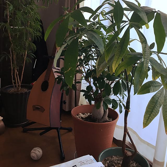 naoさんの実例写真