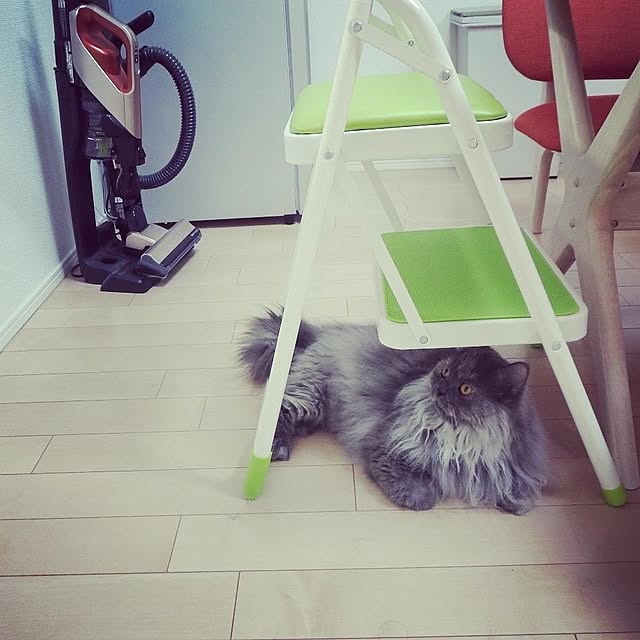 hiroshiさんの実例写真
