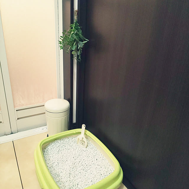 komugiさんの実例写真