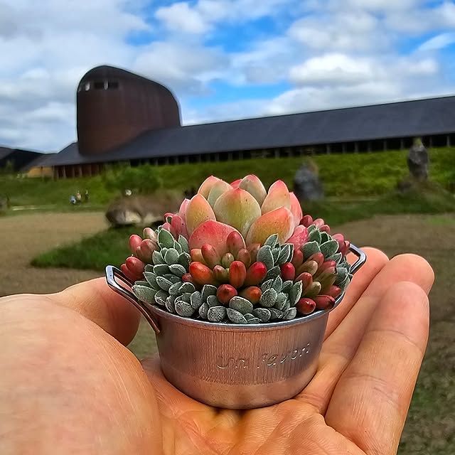 amtさんの実例写真