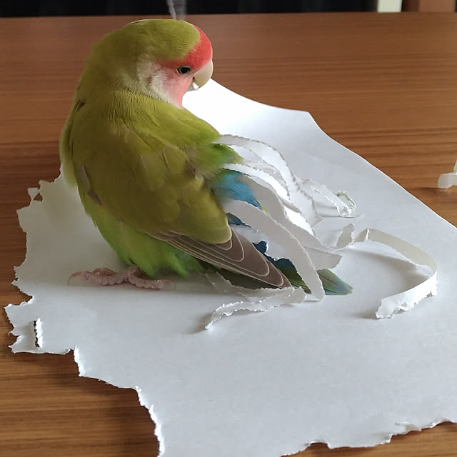 yukkieさんの実例写真