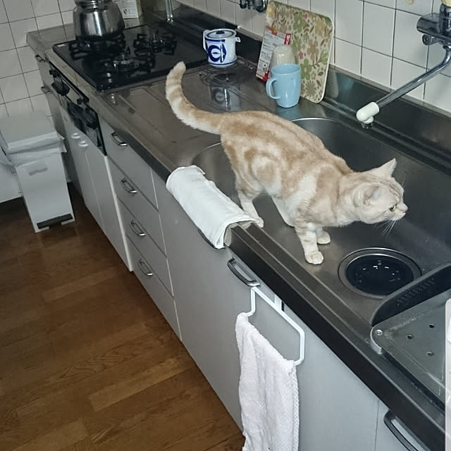 ginjiさんの実例写真