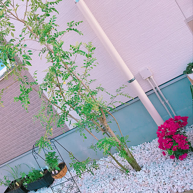 Akemiさんの実例写真