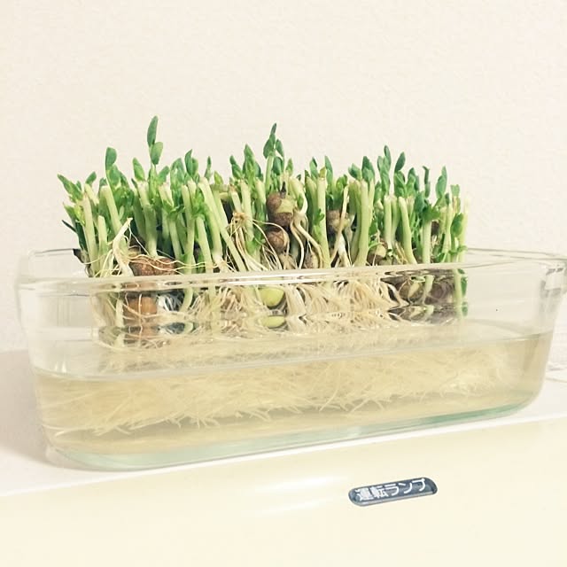 shinoさんの実例写真