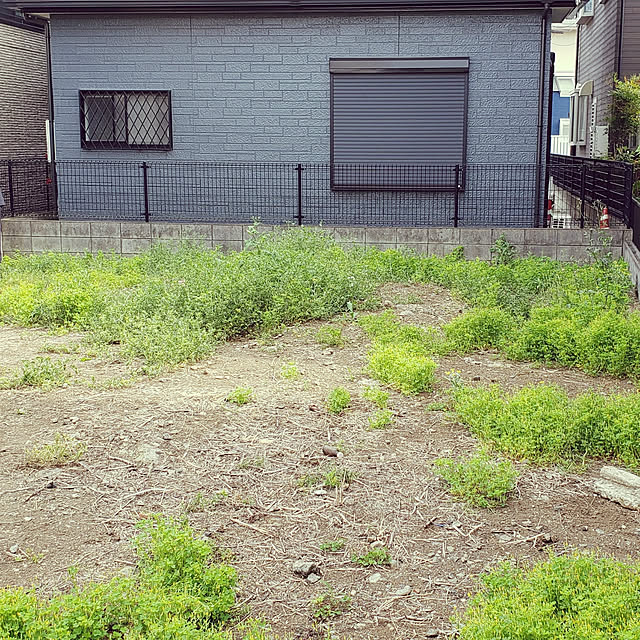 Sinjiさんの実例写真