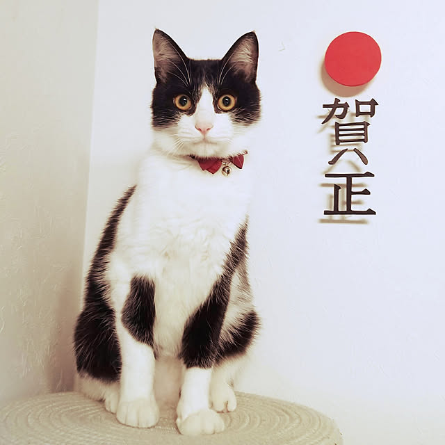 Yukoさんの実例写真