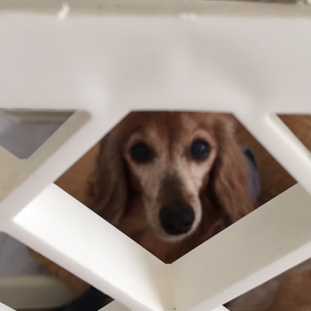 Mayumiさんの実例写真