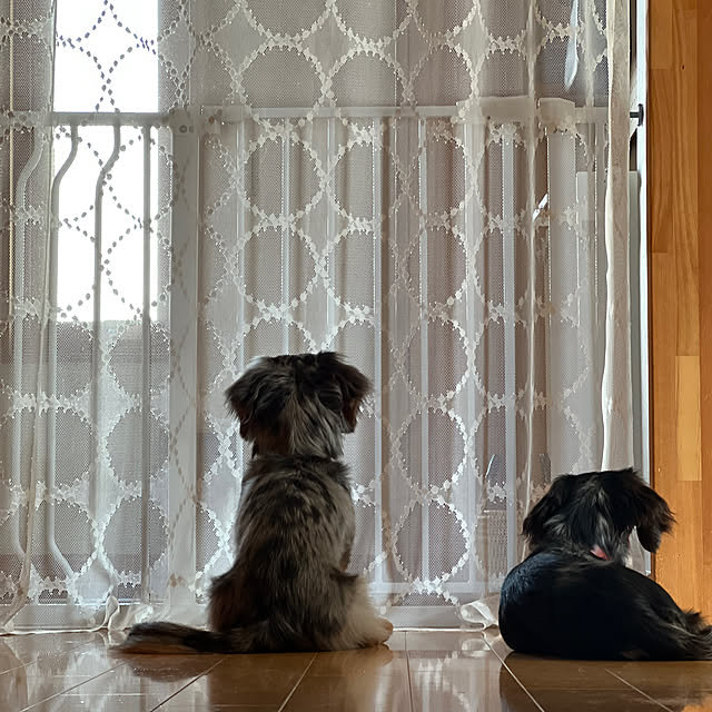 ma.home___さんの実例写真
