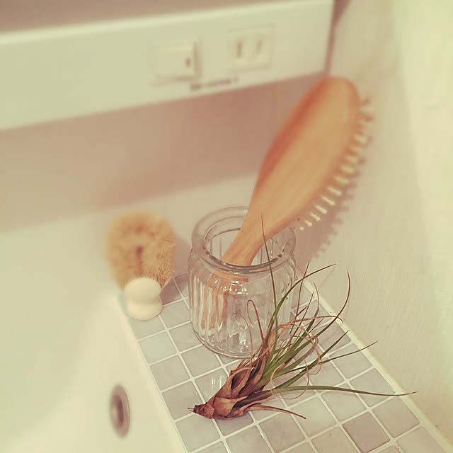 noriさんの実例写真
