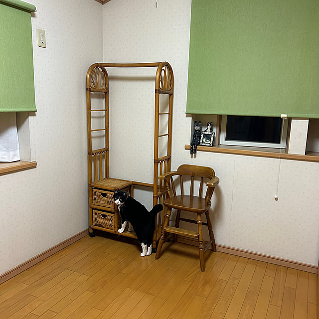 haruさんの実例写真