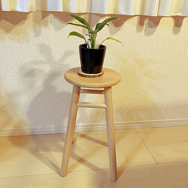 Ryoさんの実例写真