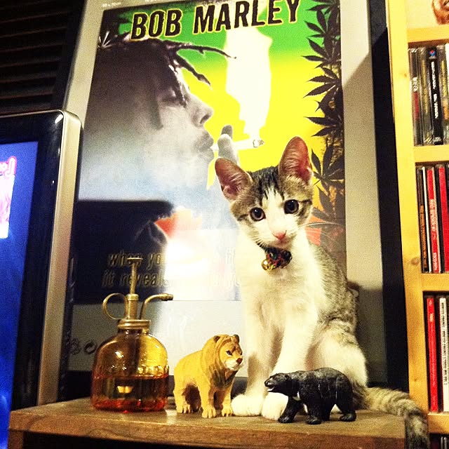 tenmarleyさんの実例写真