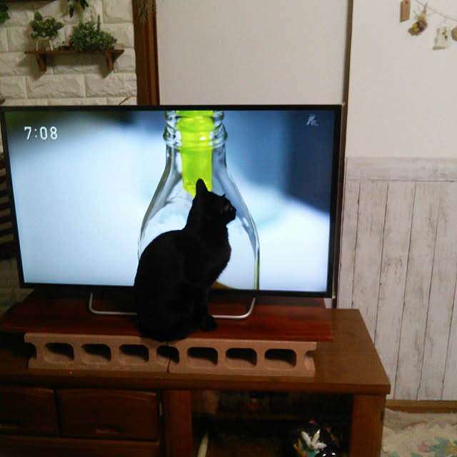 Tomopさんの実例写真