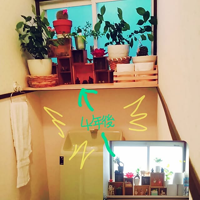 Tomさんの実例写真