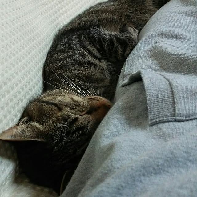 taleo07さんの実例写真