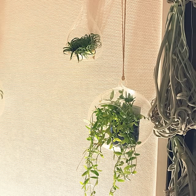 Shihoさんの実例写真