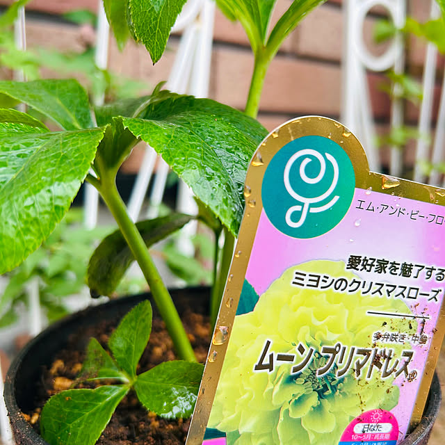 sunabaさんの部屋