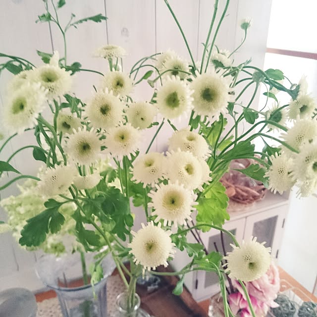 miho.okuさんの実例写真