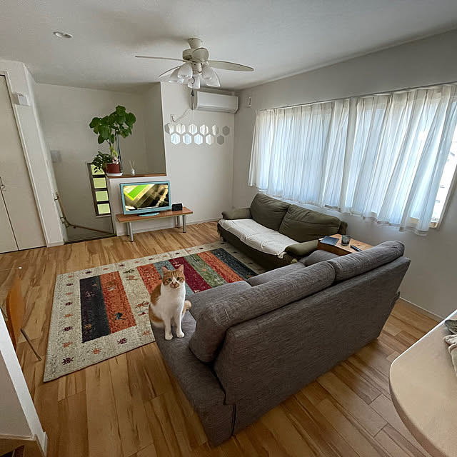 Harukiさんの実例写真