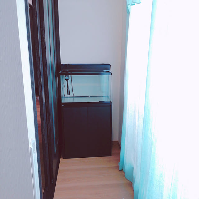 soramameさんの実例写真