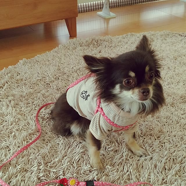 sakuさんの実例写真