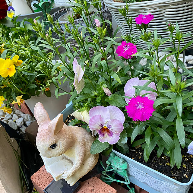 YuuKoさんの部屋