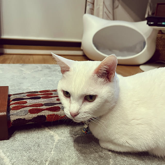 hanaさんの実例写真