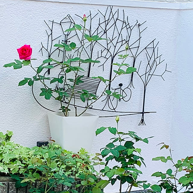 Nさんの部屋