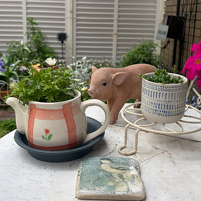 puriyuzuさんの部屋