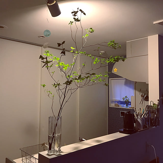 ドウダンツツジ/花びん/無印良品の家/いいね&フォローありがとうございます☆/見ていただきありがとうございます...などのインテリア実例 - 2021-07-10 21:42:33