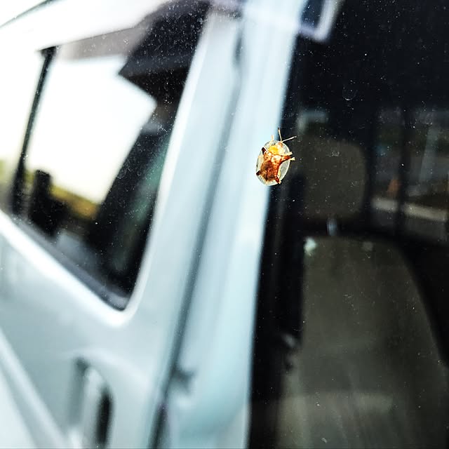 riakanaさんの実例写真